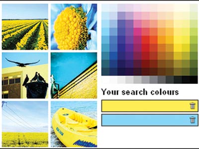 Multicolr Search Lab - Tìm theo màu sắc