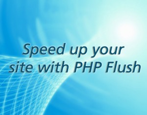 speed-up-php-flush-300x235