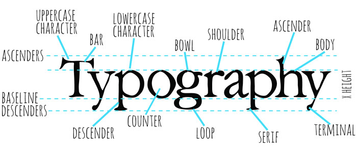 typography-diagram2